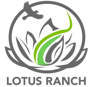 Lotus Ranch retreat center in Wimberley, TX