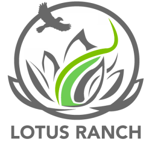 lotus ranch retreat center in Wimberley, Texas