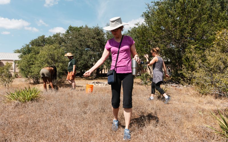 lotus-ranch-regenerative-workshop