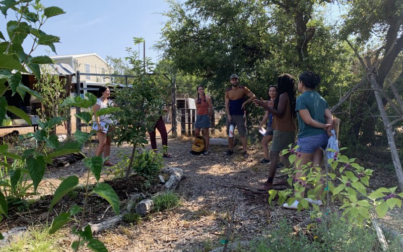 Permaculture Teacher, Ashley Stephens, teaching a intro to Permaculture Design Course, in 2023, in the food forest garden at Lotus Ranch.