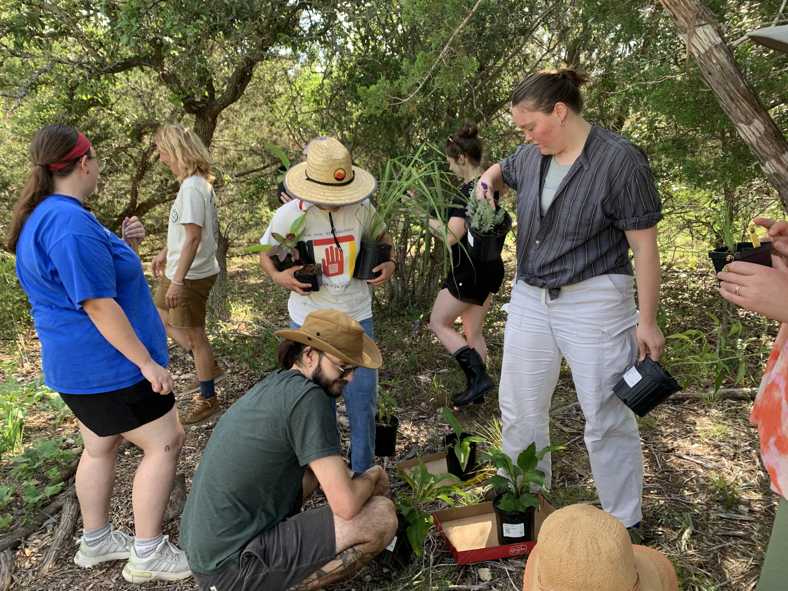 Permaculture students at lotus Ranch, learning how to design a tree guild and plan a landscape installation using permaculture principles.